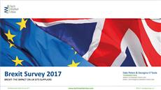 Brexit Survey Report