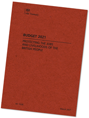 Budget 2021 report