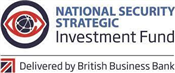 National Security Strategic Investment Fund