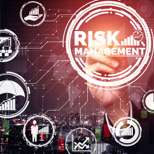 FSV_Risk-Management_(002)