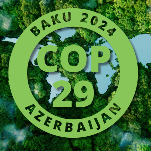 COP29: Money, markets, and momentum