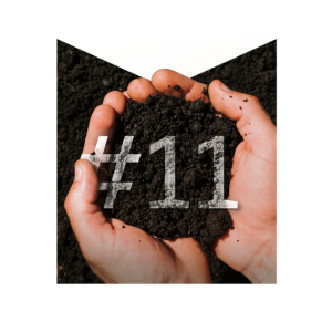 Totally Sust #11: Scaling soil carbon markets